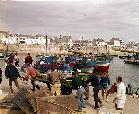 Débarquement du poisson