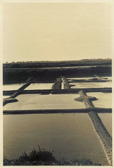Dans les marais salants