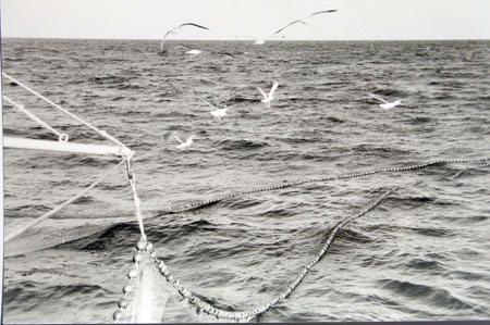 Pêche à la bolinche