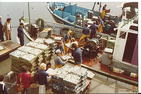 Débarquement de la paire Si Dios Quiere et L'Ami du Marin