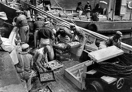 Débarquement du poisson