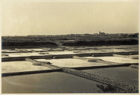 Dans les marais salants