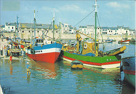 Débarquement de la sardine à la cale de déchargement