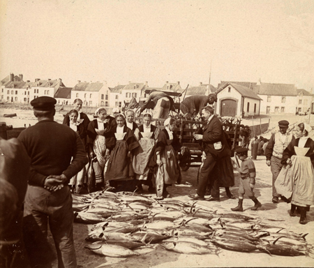 Négociation des thons sur le port