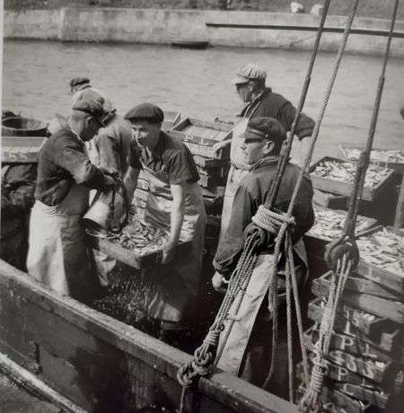 Retour au port