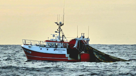 Glaneuse de l'Océan