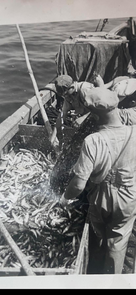 Pêche à la sardine