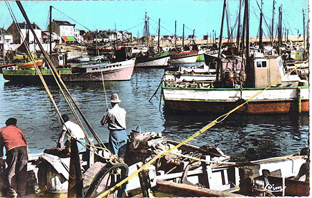 Flottille dans le port