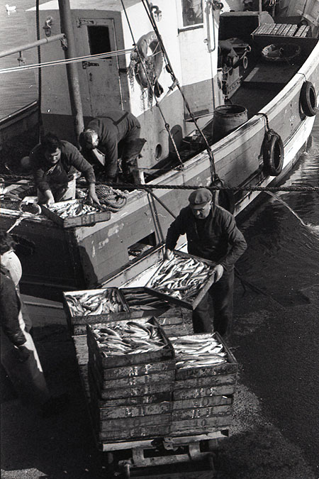 Débarquement du bateau Oasis de la Mer