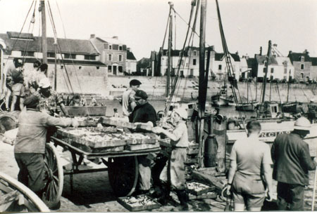 Le port déchargement du poisson
