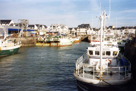 La Turballe bassin pélagique