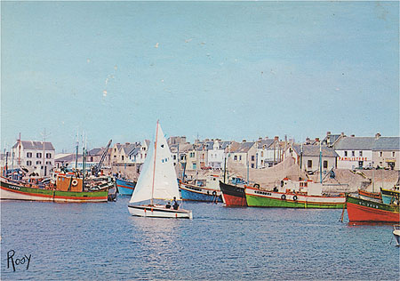 Flotille au port de La Turballe