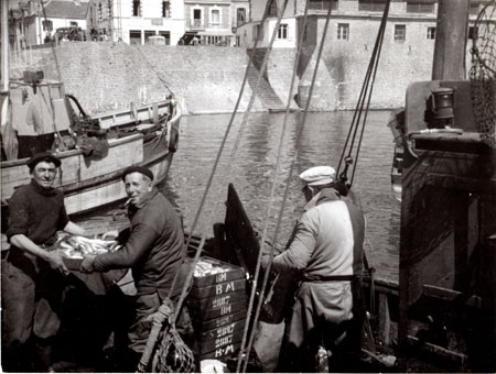 Débarquement du poisson