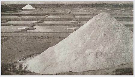 Dans les marais salants
