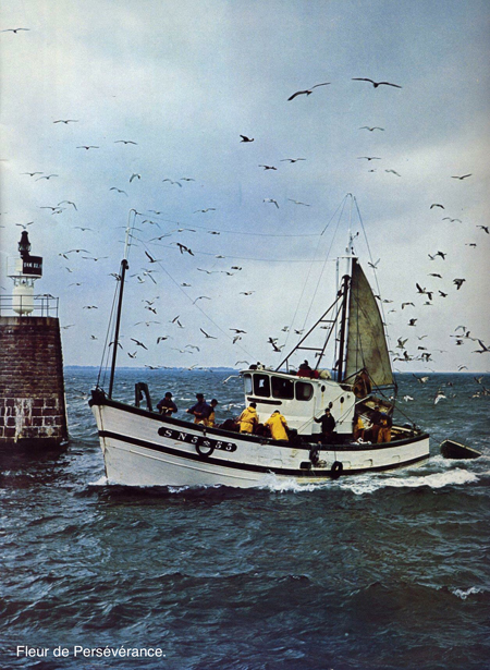Fleur de Persévérance entre au port