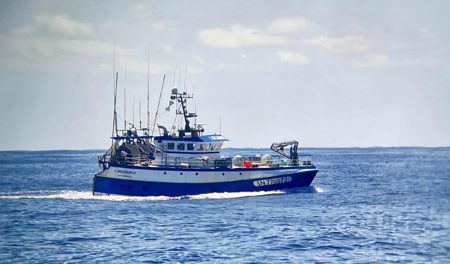 L'Arlequin II