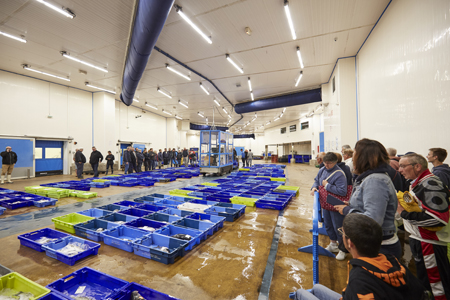 Dans la criée, pendant la vente