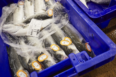 Dans la criée, pendant la vente