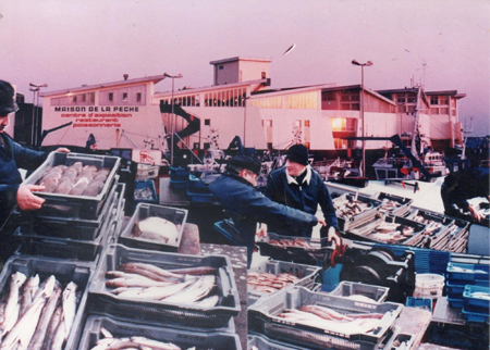 Débarquement du poisson