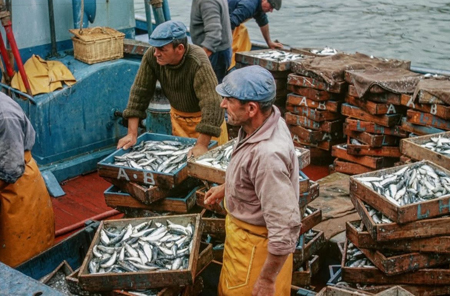 DŽbarquement du poisson