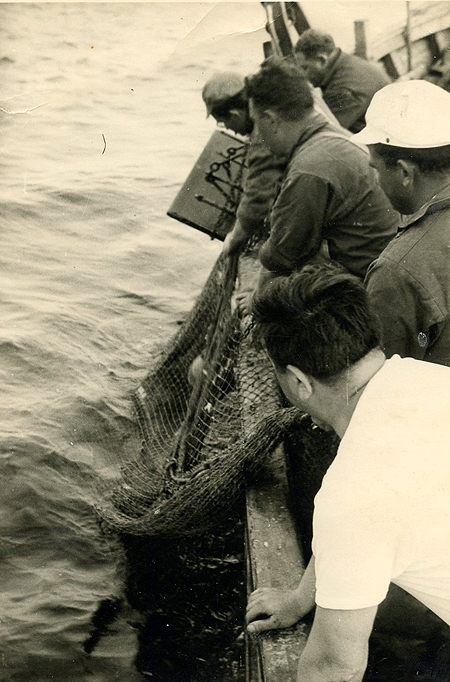 La remontée du chalut