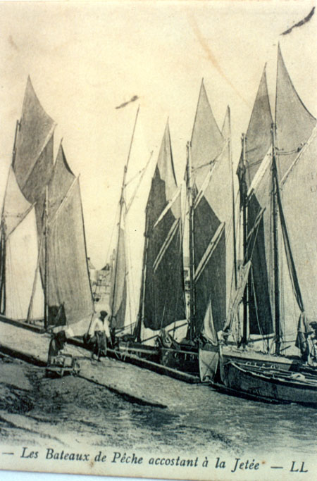 Les bateaux de pêche accostant à la jetée