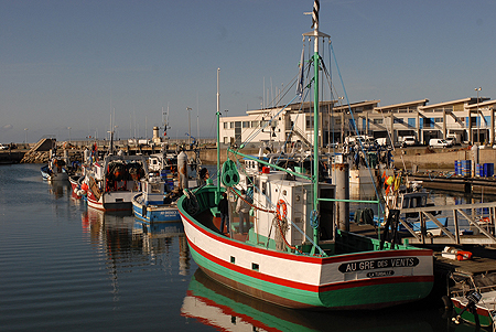 Bateaux de pêche amarrés aux pontons