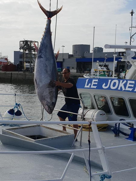 Débarquement du Thon