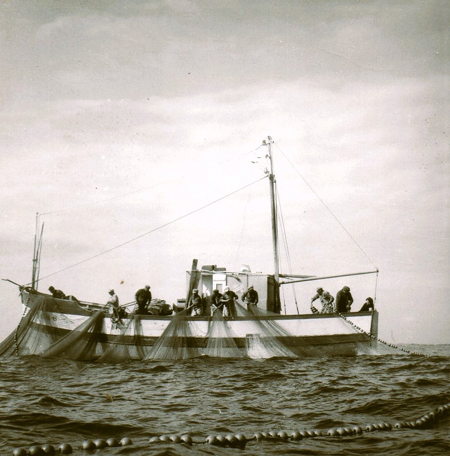 En pêche à la bolinche