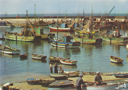 Les sardiniers au port