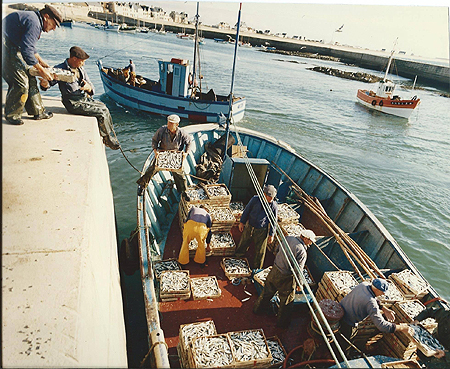 Le débarquement des sardiniers