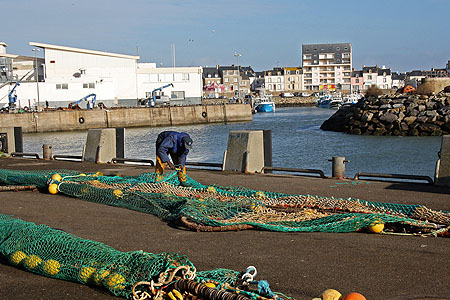 Ramendage sur le quai à La Turballe
