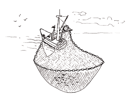 Dessin de la bolinche