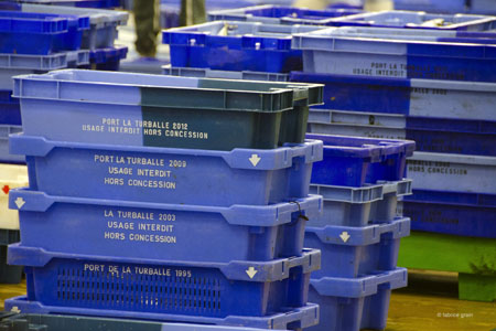 La criée à La Turballe