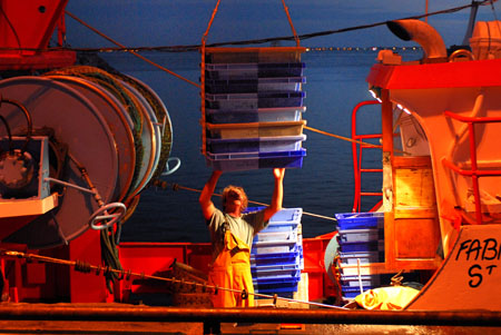 Débarquement du poisson