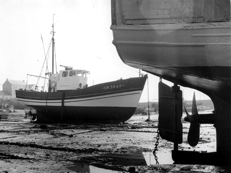 Le port à marée basse