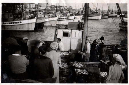 Débarquement de la sardine