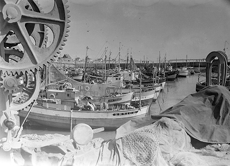 Le port à marée basse