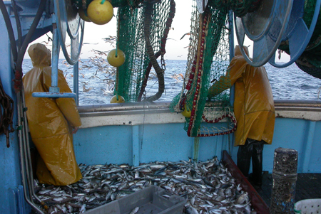 A bord du Cap Hornier