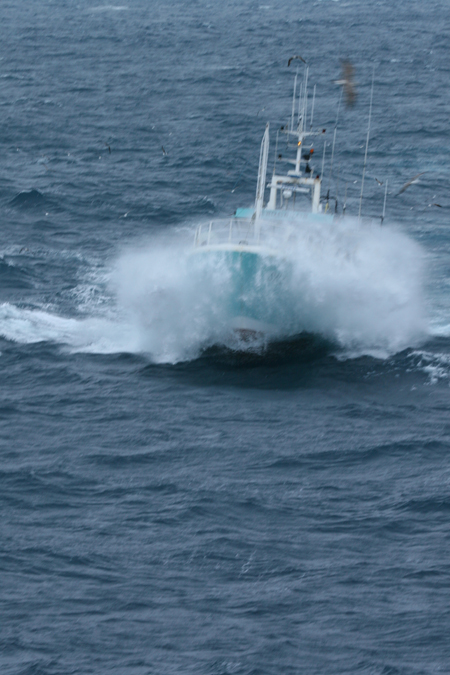 Tangaroa en mer