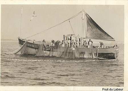 Fruit du Labeur en pêche