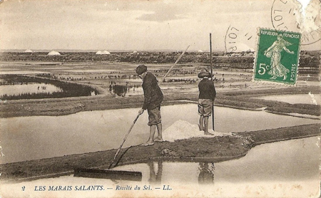 Dans les Marais