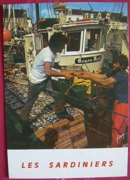 Déchargement des sprats