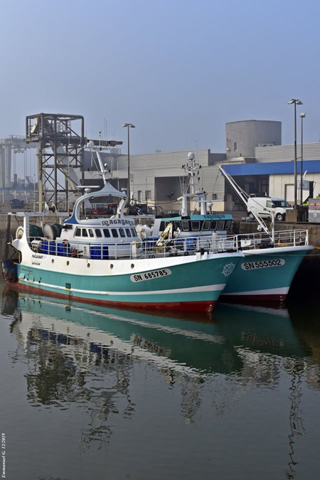 Bateaux pélagiques au port