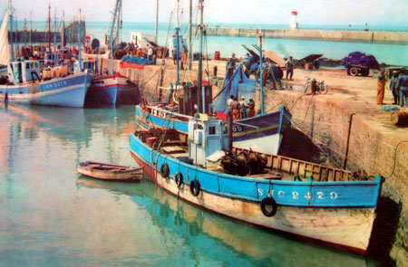 Chalutiers au quai de déchargement