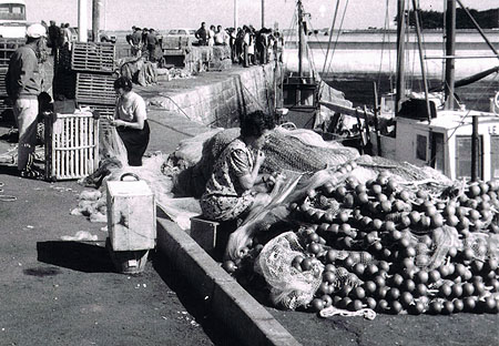 Ramendage sur le quai du Croisic