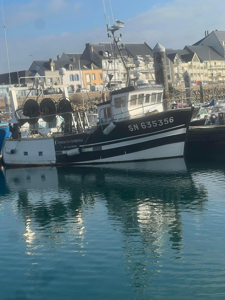L'Oiseau des Tempêtes