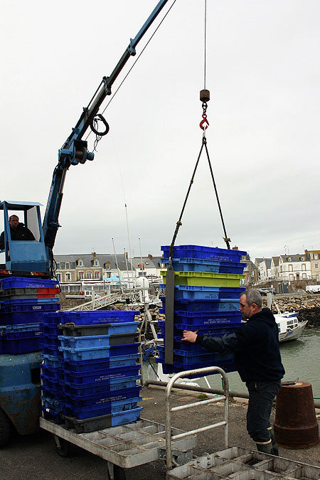 Débarquement de poisson