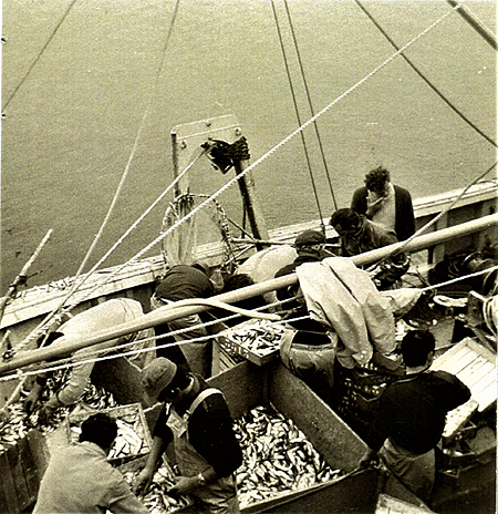 A bord de la Patronne des Bretons