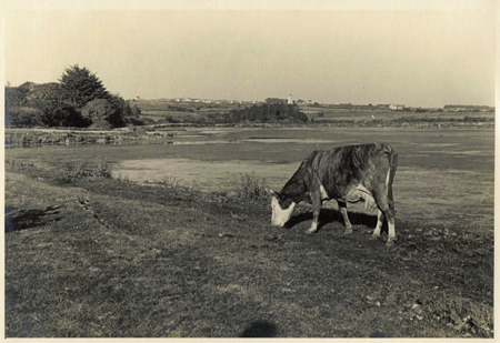 Vachement bien à Trévaly